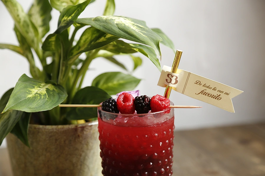 Imagen Cóctel Gastrobares Salvador Bachiller